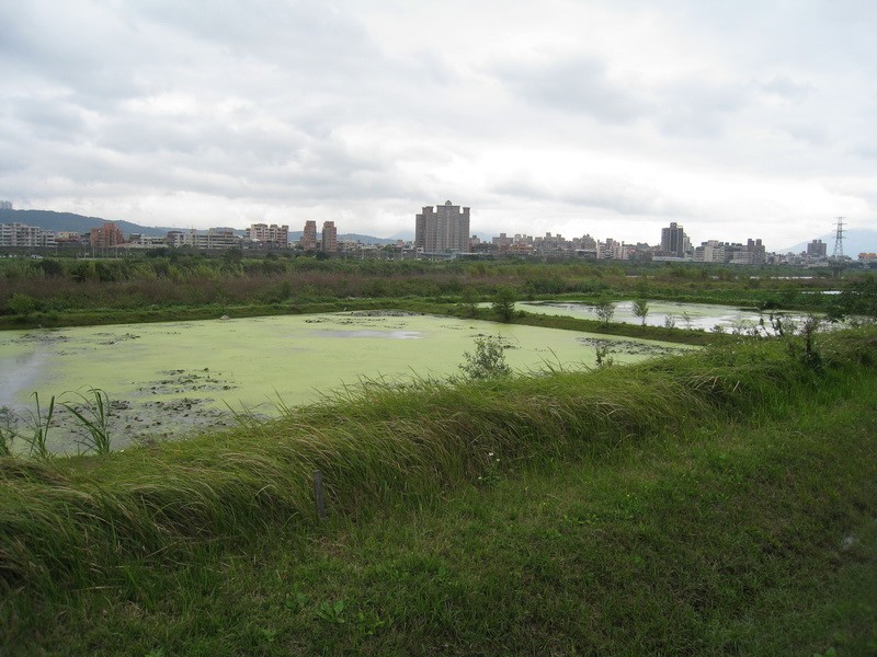 Images/pb7_09.jpg