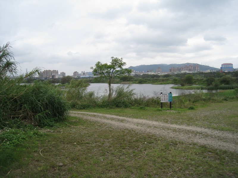 Images/pb7_19.jpg