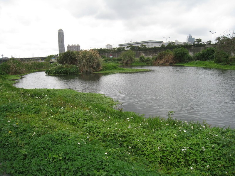 Images/pb7_23.jpg