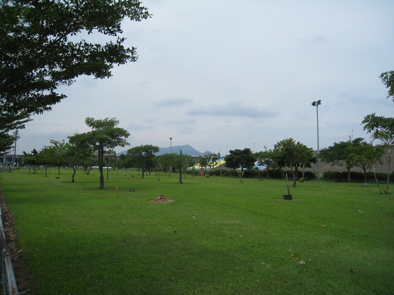 Images/pb806.jpg