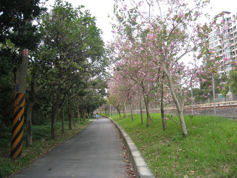 Images/pb91_06.jpg