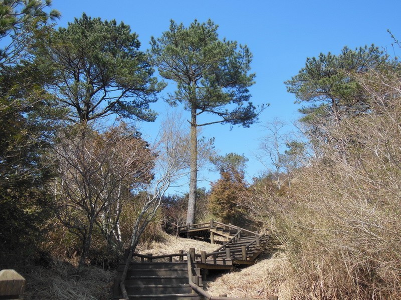 Images/pt13-14.jpg