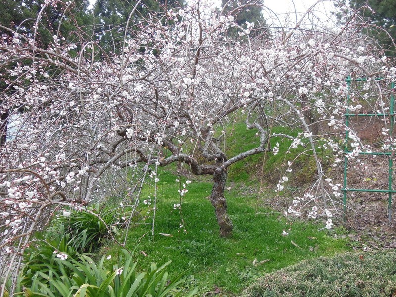 Images/pt13-21.jpg