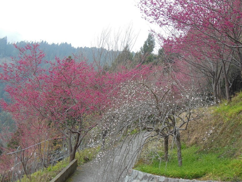 Images/pt13-24.jpg