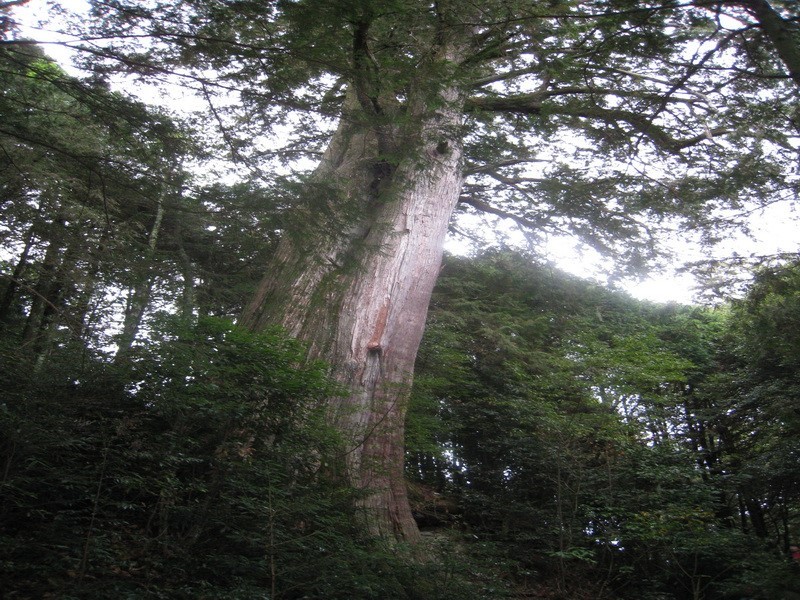 Images/pt13-5.jpg