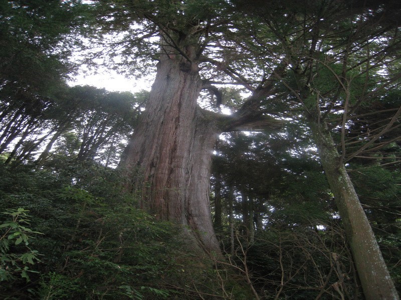 Images/pt13-6.jpg