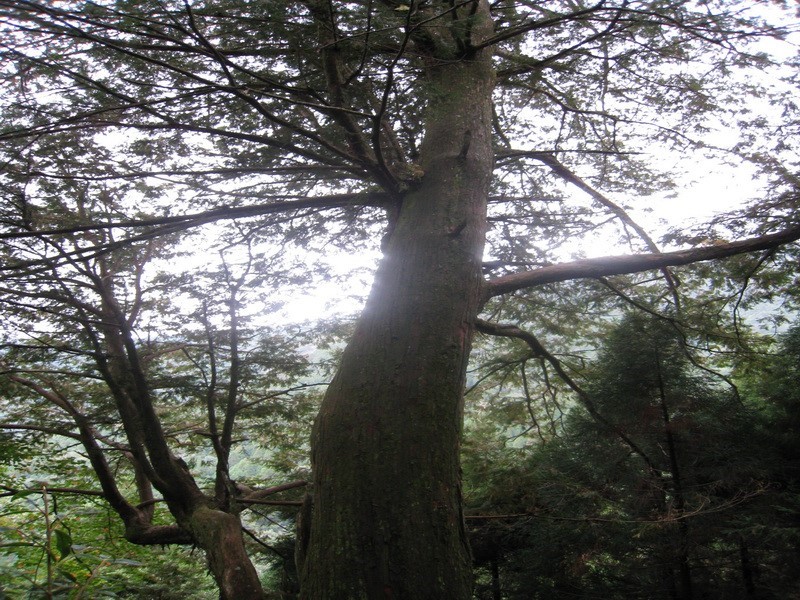 Images/pt13-7.jpg