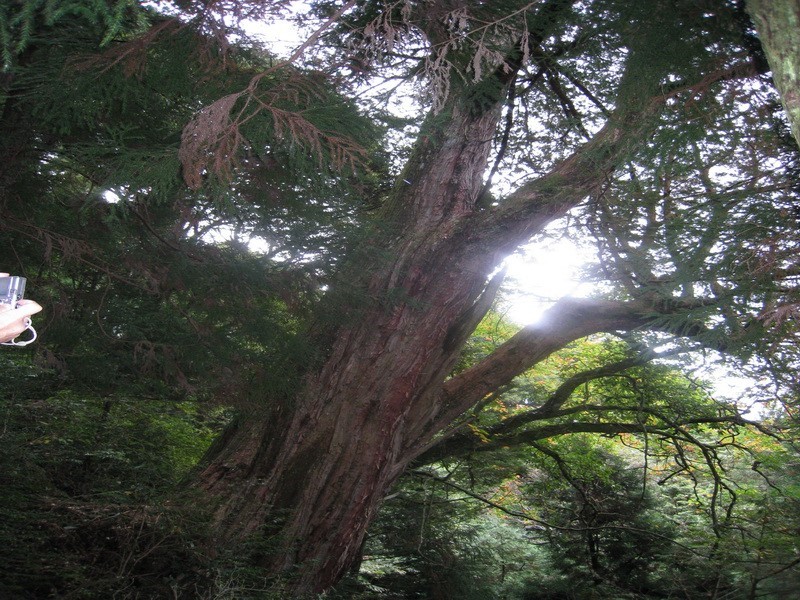 Images/pt13-8.jpg