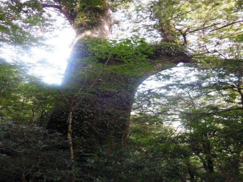 Images/pt15_20.jpg