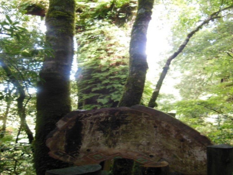 Images/pt15_25.jpg