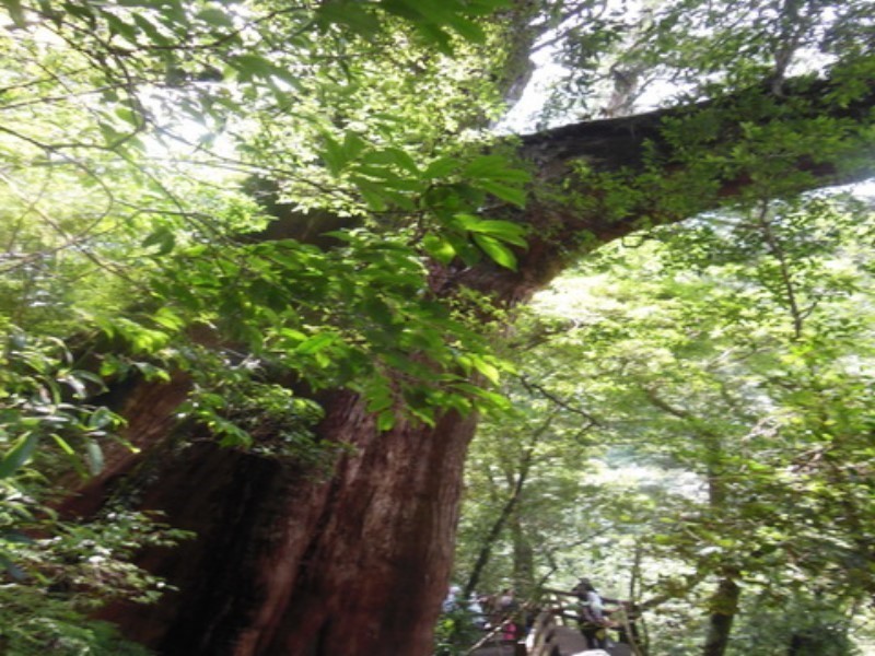 Images/pt15_28.jpg