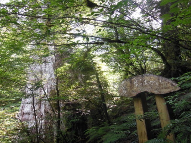 Images/pt15_31.jpg
