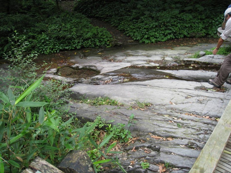 Images/pt2-08.jpg