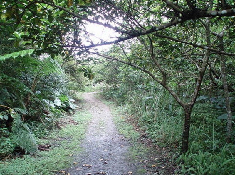 Images/pt2-09.jpg