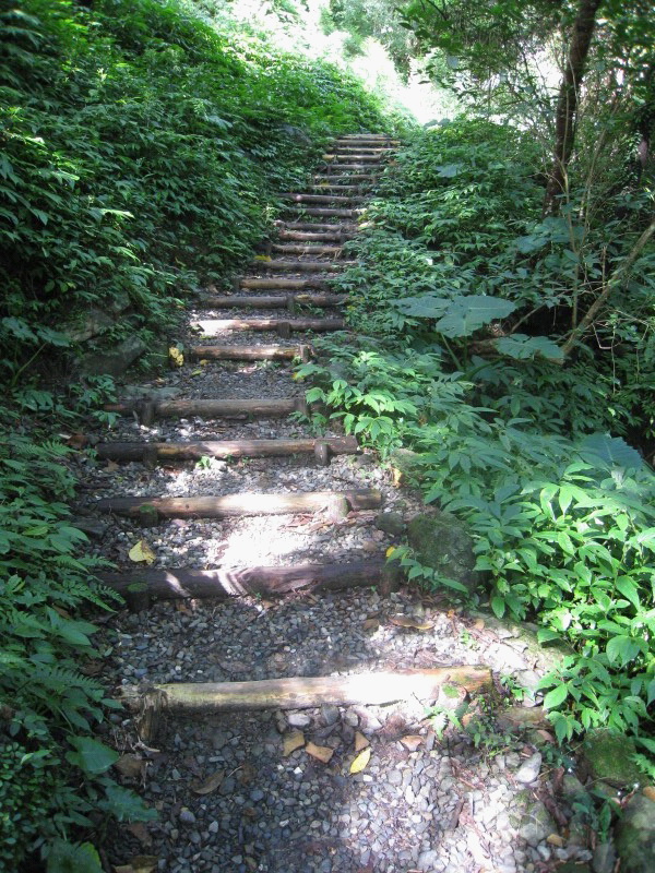 Images/pt3-28.jpg