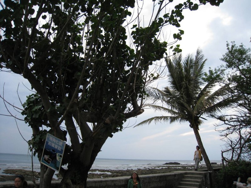 Images/pt4-36.jpg