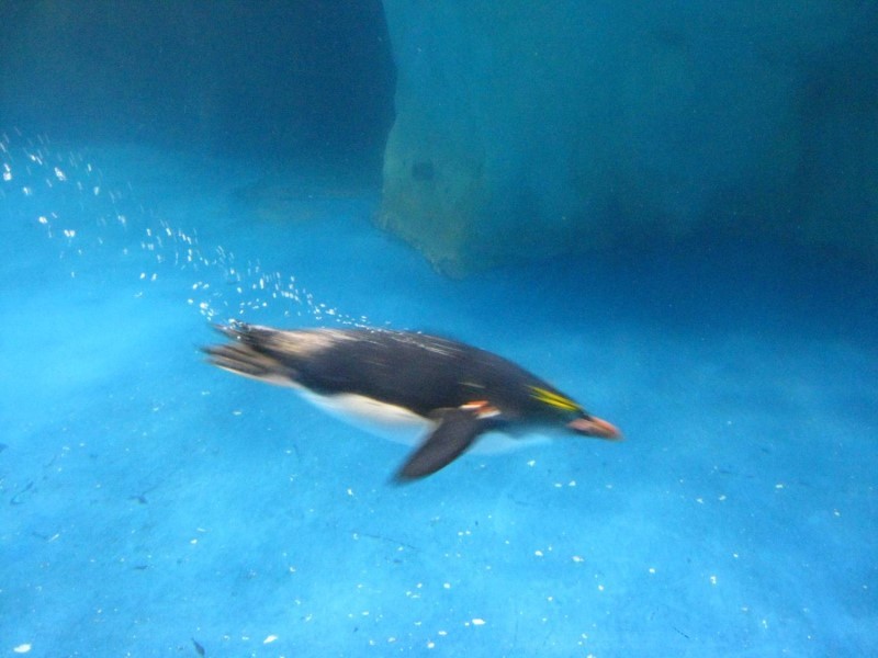 Images/pt4-42.jpg
