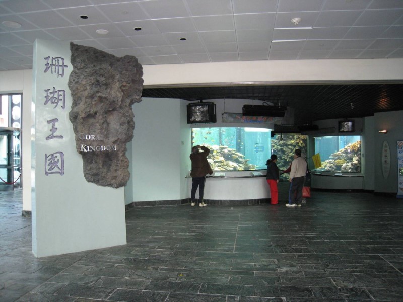 Images/pt4-43.jpg