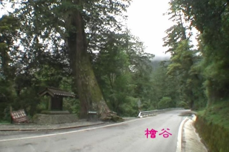 Images/pt12.jpg