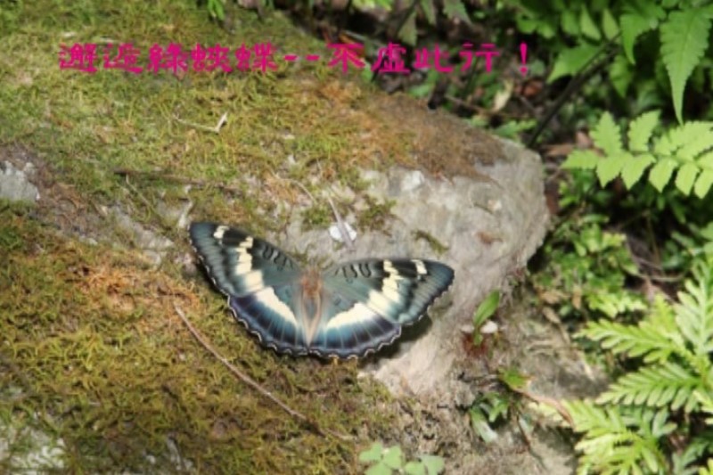 Images/pt26.jpg