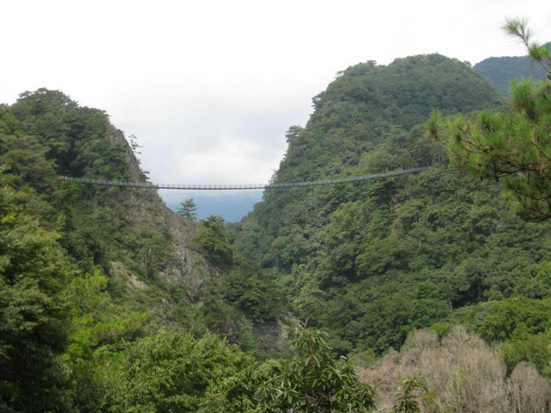 Images/pt7-05.jpg