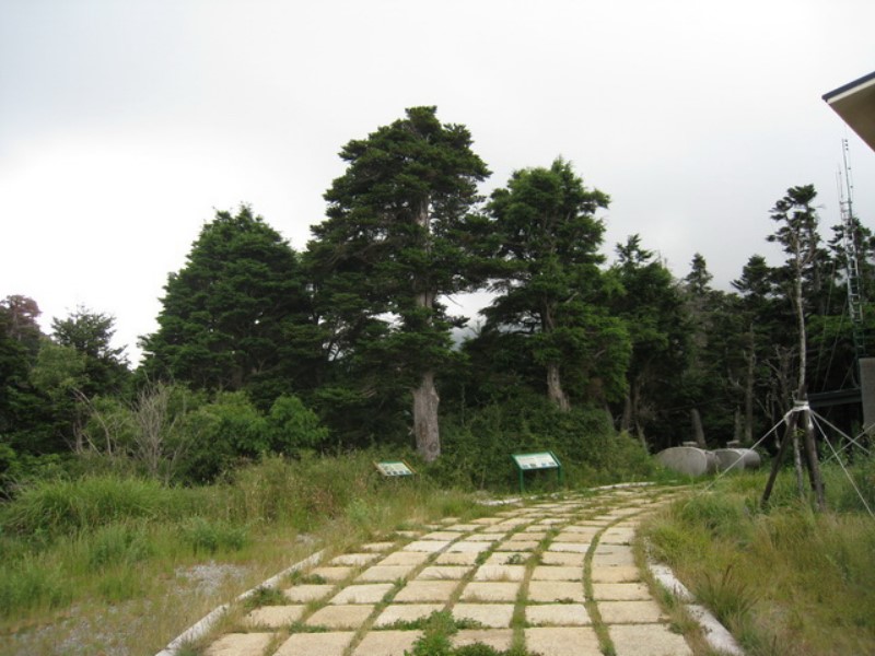 Images/pt7-26.jpg