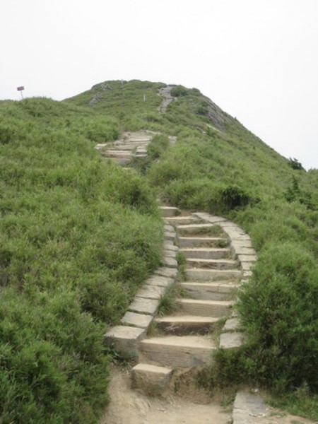 Images/pt7-30.jpg