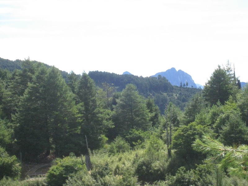Images/pt9_26.jpg